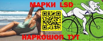 стафф Краснодар