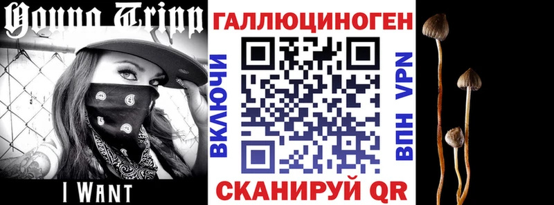 Псилоцибиновые грибы GOLDEN TEACHER  Кулебаки 
