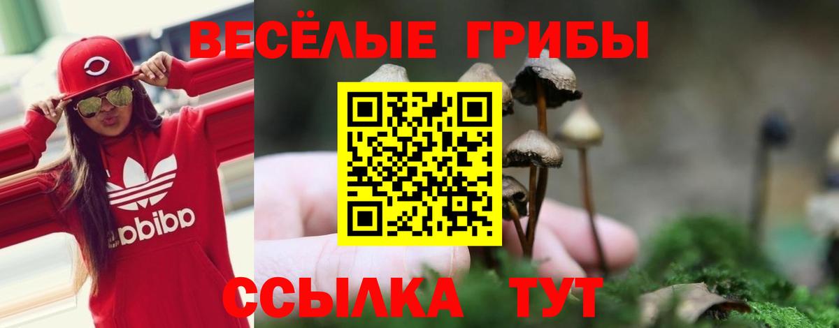 Псилоцибиновые грибы мухоморы Кулебаки